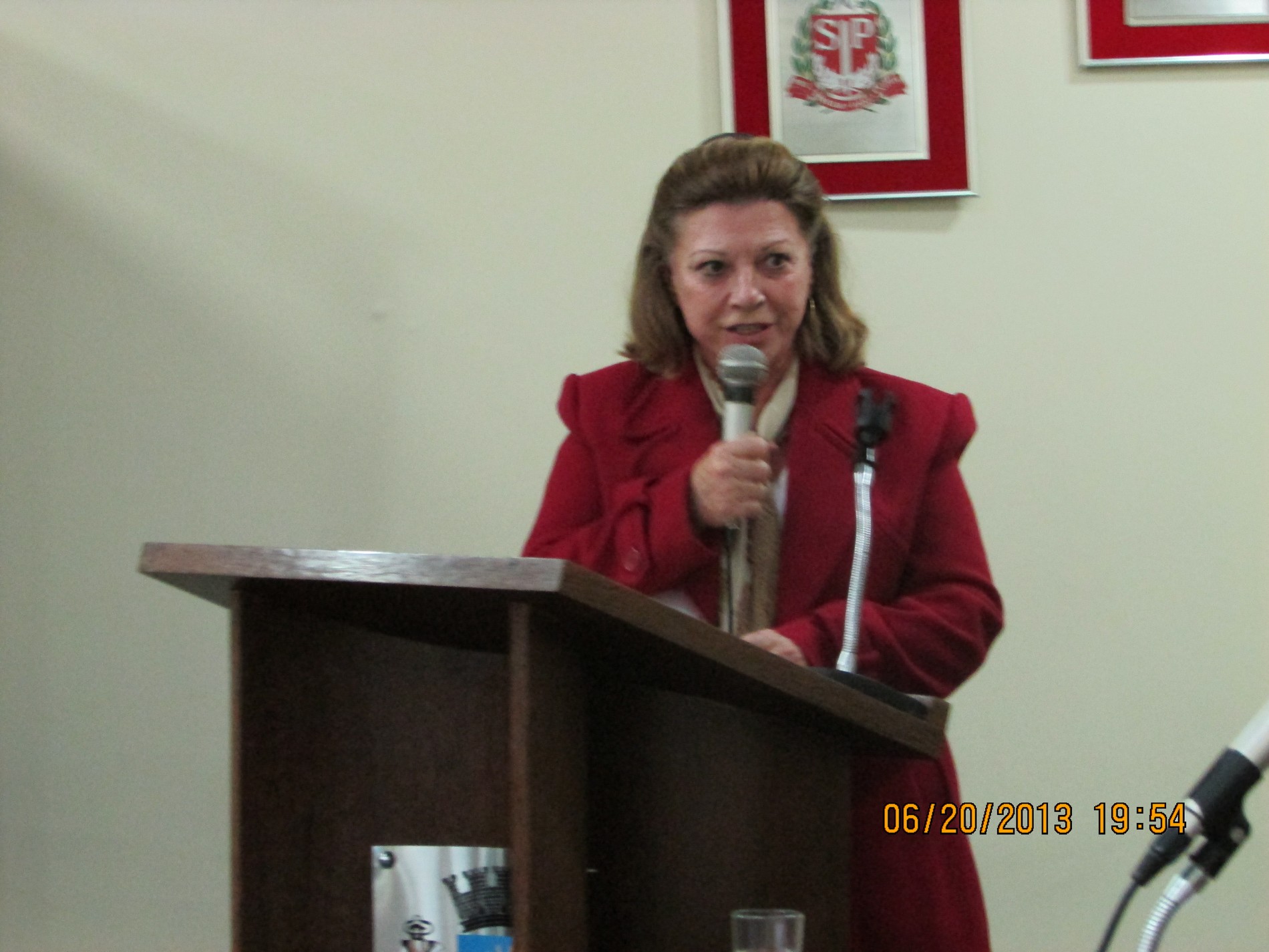 Maria Zilda Cesarotto - diretora regional de ensino